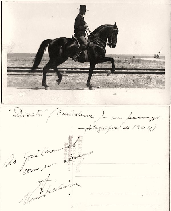 Nuno Oliveira, 1944