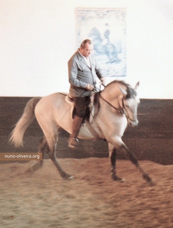 Nuno Oliveira, 1984