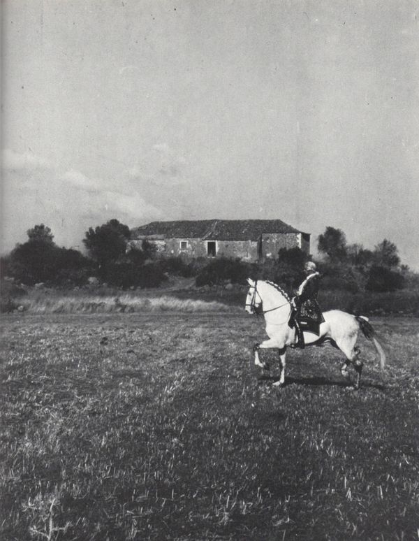 Achille