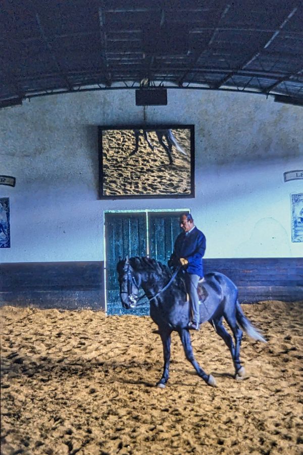 Avessada, 1986