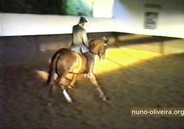 Young horse training, Balet