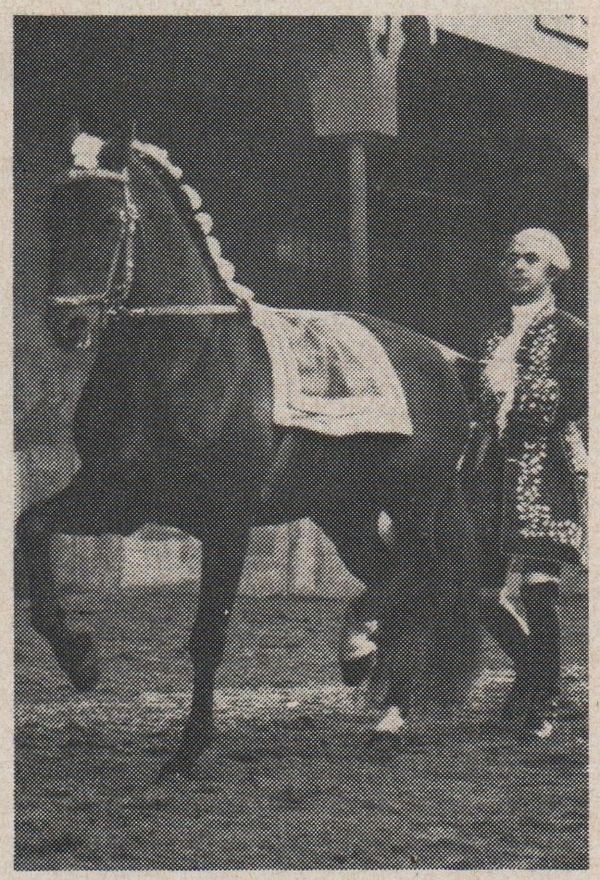 Beau geste