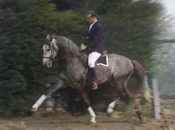 Cofre, 1959