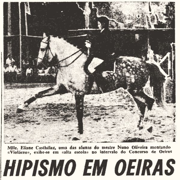 Diário de Lisboa, 1964