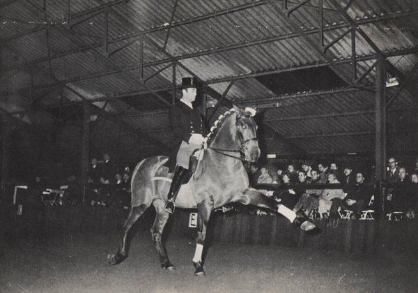 Dragon, Liège 1969