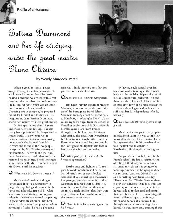 Eclectic Horseman, 2001