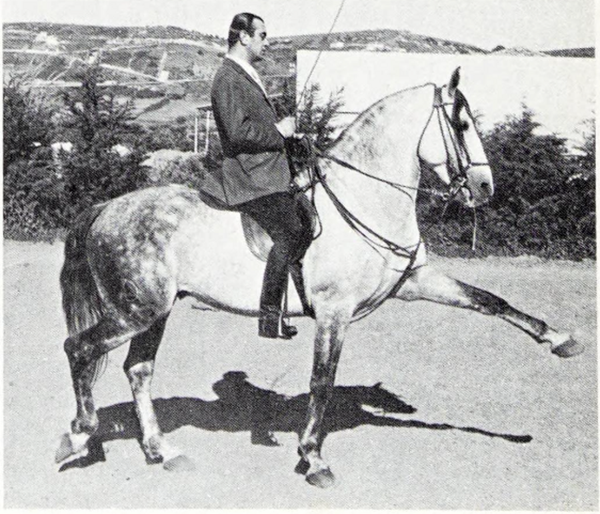 Euclides