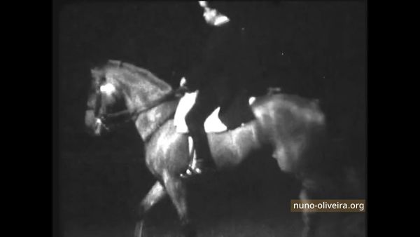 Fakir XI, cheval (SF) de Jean-Marie Donard, Fontevraud 1983 (film G.Dufresne)