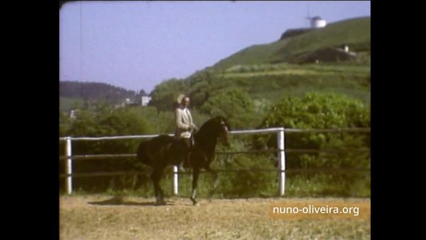 Nuno Oliveira