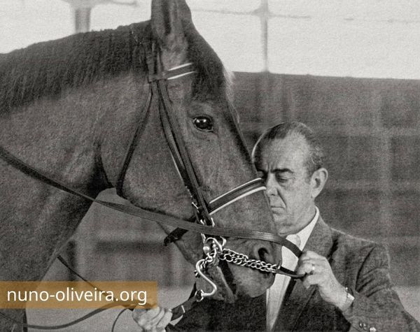 USA, 1986 – Linda Legrand’s horse