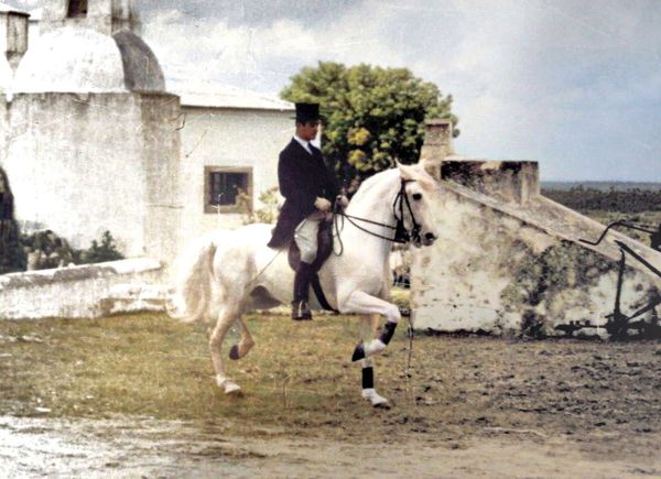 Garoto