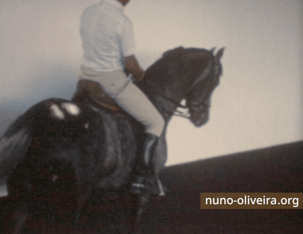 Joao Oliveira, 1977