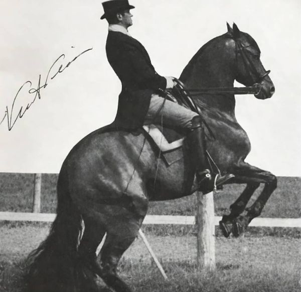 Nuno Oliveira, Genève 1963
