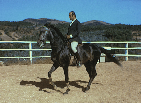 Levante, Avessada, 1975