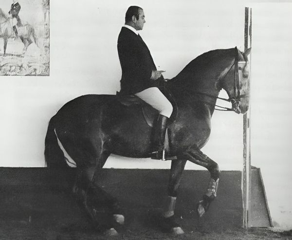 Levante 