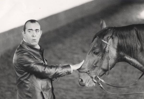 Nuno Oliveira et Radames