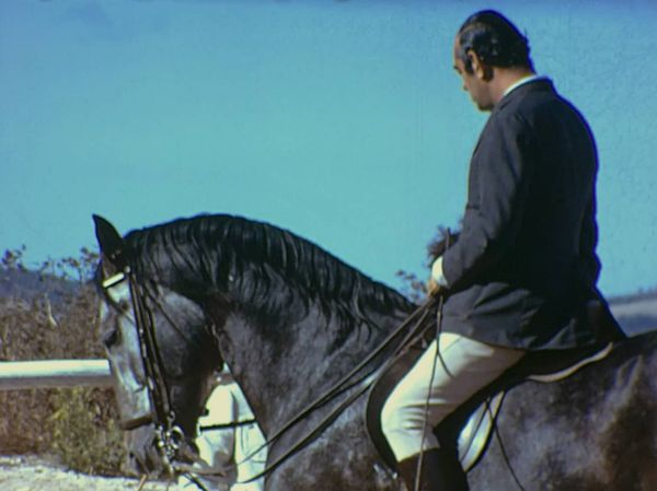 Levante