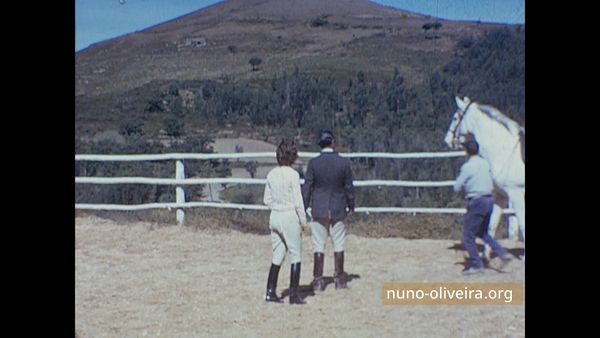 Nuno Oliveira, Phyllis Field et Achille