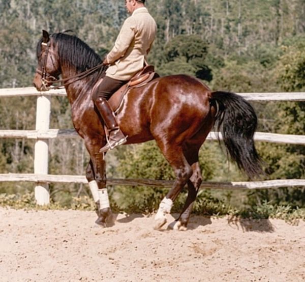Nuno Oliveira
