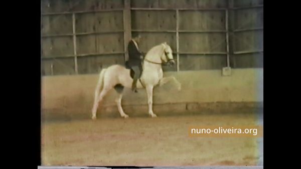 Nuno Oliveira montant Junco, 1986