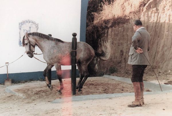 Work on the pillars, 1984