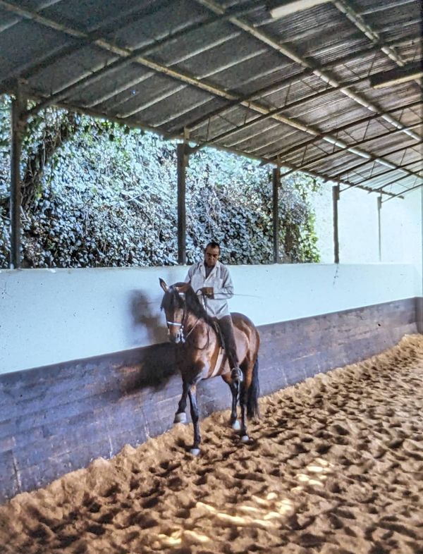 Nuno Oliveira