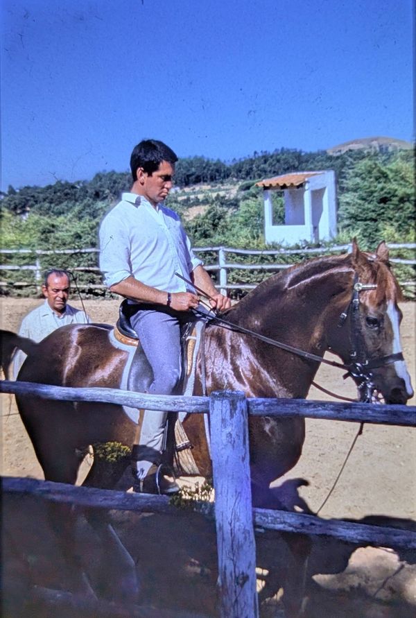 Svitok ridden by Yvon Bourgeois, directed by Nuno Oliveira