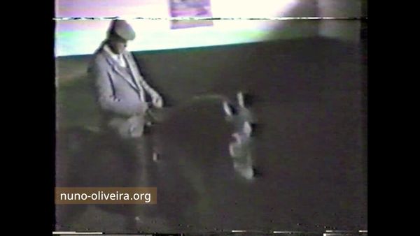 Nuno Oliveira, travail au galop