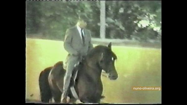 Xique, Italie 1986 (film Società Italiana di Arte Equestre Classica)