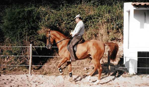 Zabrod, 1988