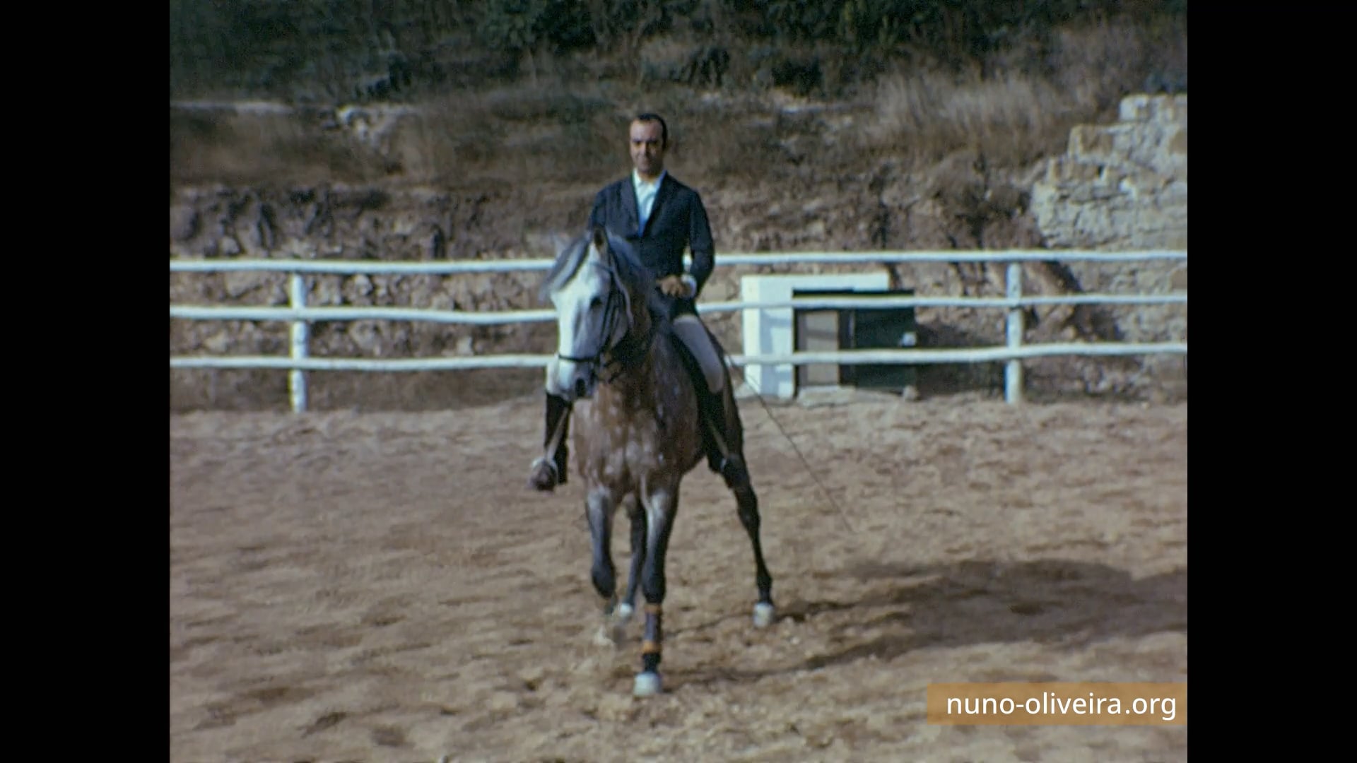 5 yo Junco, 1975