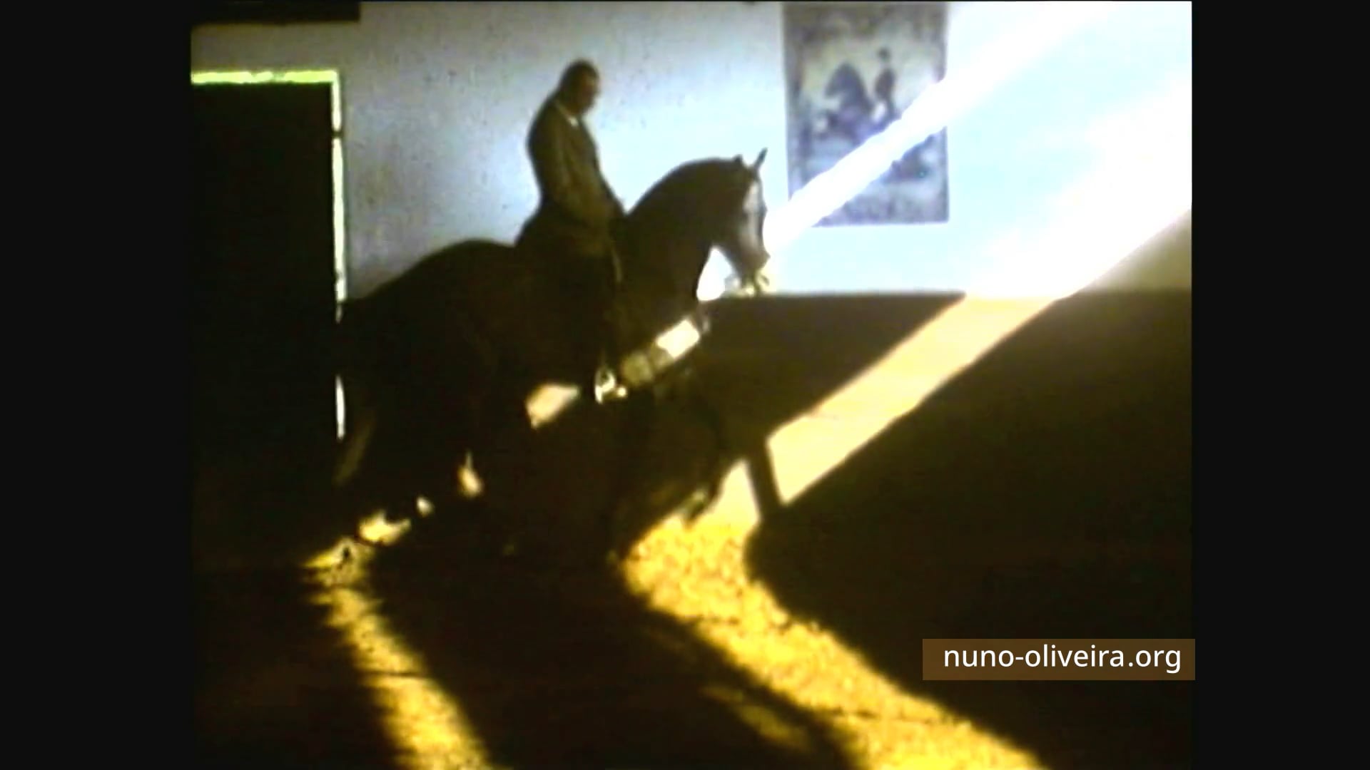 Nuno Oliveira (film G.Dufresne)