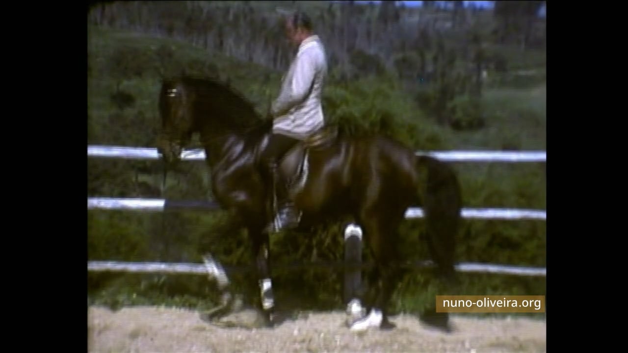 Travail du piaffer (film G.Dufresne)